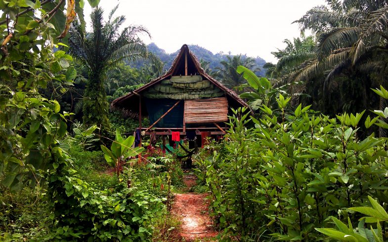 Dave’s House Finished!