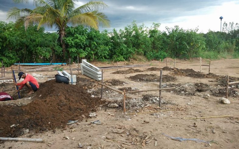 A new project is founded!